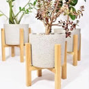 Suporte de Chão Legs Cachepot Madeira Pinus Natural - Porta Vaso Planta