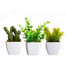 3 Mini Vasinhos Cerejeira Suculentas Cactos Flores Artificiais Decorativas Planta Artificial Decoração