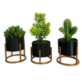 Trio de Vasos Cachepot com Suporte