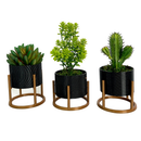 Trio de Vasos Cachepot com Suporte