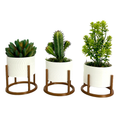 Trio de Vasos Cachepot com Suporte