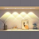 60/50CM Luz LED Sem Fio sensor De Inteligente Do Guarda-Roupa Quarto De Conveniência Carregamento USB
