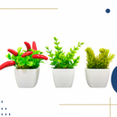 3 Mini Vasinhos Cerejeira Suculentas Cactos Flores Artificiais Decorativas Planta Artificial Decoração