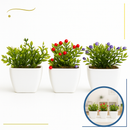 3 Mini Vasinhos Cerejeira Suculentas Cactos Flores Artificiais Decorativas Planta Artificial Decoração