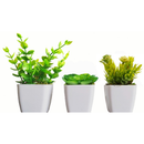 3 Mini Vasinhos Cerejeira Suculentas Cactos Flores Artificiais Decorativas Planta Artificial Decoração
