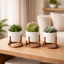 Trio de Vasos Cachepot com Suporte Para Cactos ou Suculentas