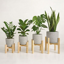 Suporte de Chão Legs Cachepot Madeira Pinus Natural - Porta Vaso Planta
