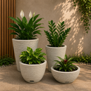Kit 04 Vasos para Planta Flor Casa Jardim Varanda Coluna Redonda N1 N2 Bojo N1 + Bacia N1 com prato